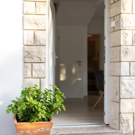 Nikola Holiday home *
